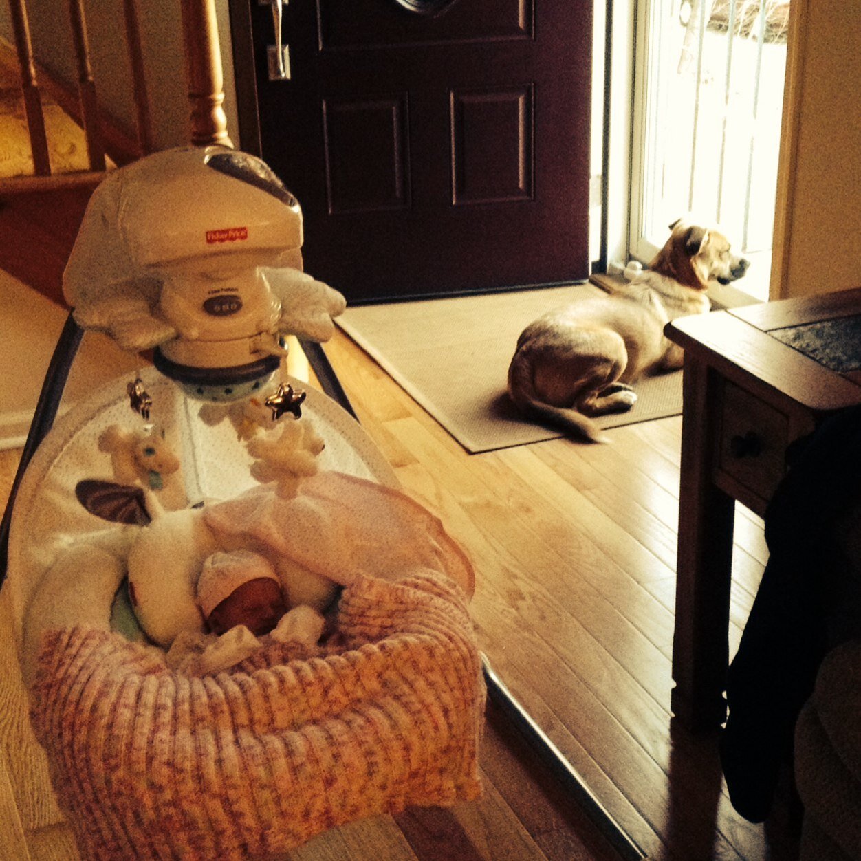 lionfromlamb's profile picture. 