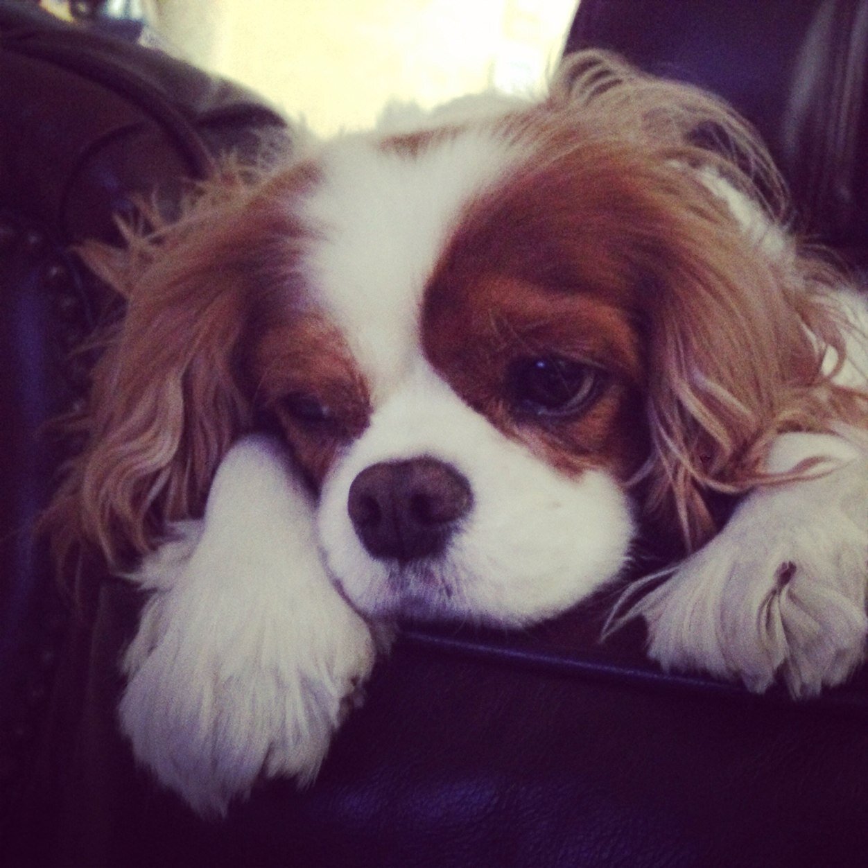 BridgetStyles1's profile picture. 