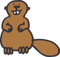 Beavers are natures greatest wonder. I am here to bring you facts about beavers that few people know