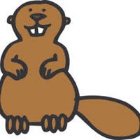 The Life of a Beaver (@thealphabeaver) 's Twitter Profile