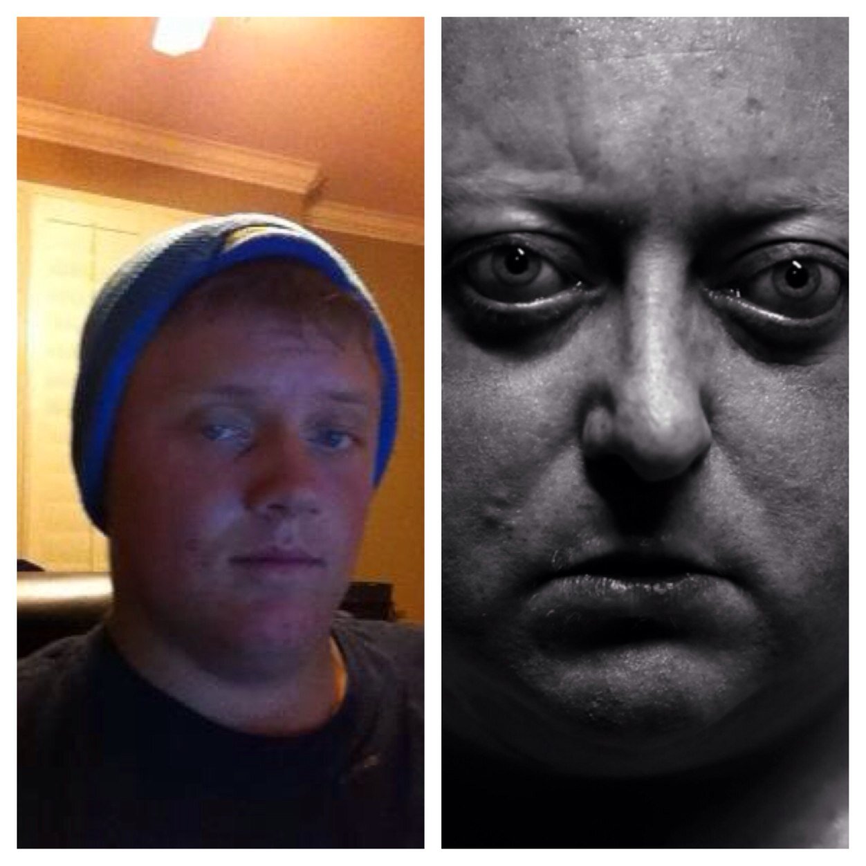 Best nighthawk look a likes