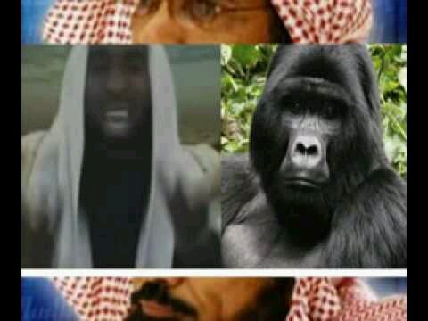 barbar_91's profile picture. 