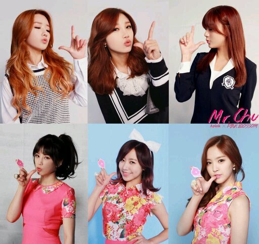 APink DanceCover Profile