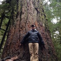 Matt Wright (@gofore) 's Twitter Profile