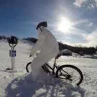 nancy bishop (@creamfancy) 's Twitter Profile