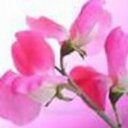 Tina Speller - @mstspeller - Twitter