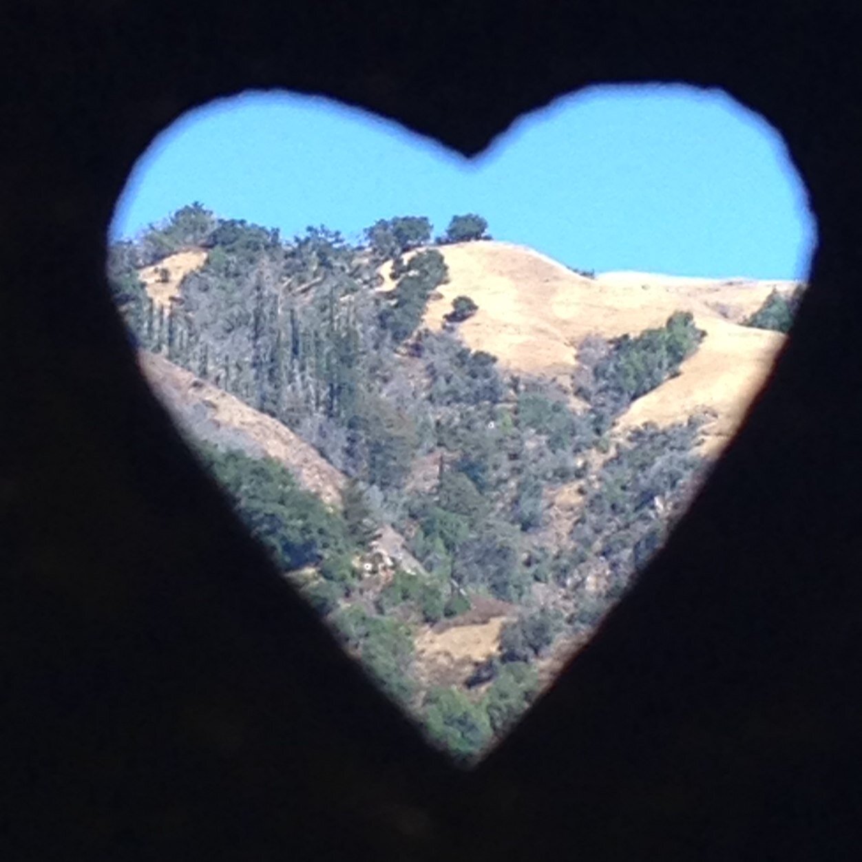 spreading messages of love into the universe