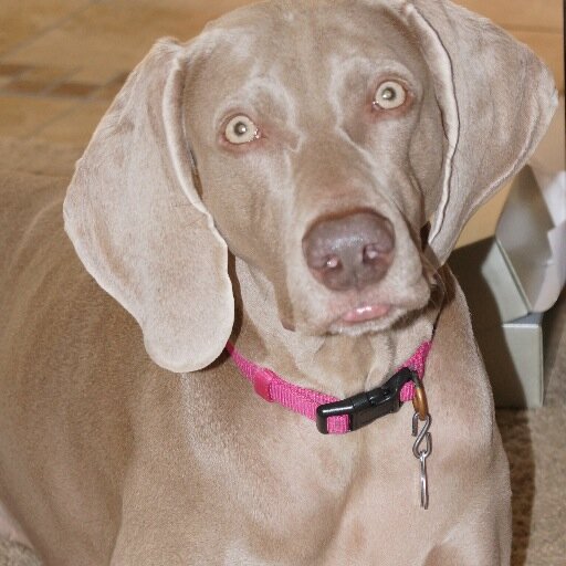 ChairmanNitty's profile picture. 