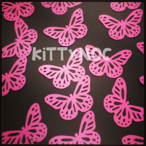 Kittynoc's profile picture. Visitanos en Facebook :
http://t.co/fG9fnSEVg0