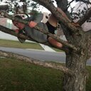 William Gammell - @BgGammell - Twitter