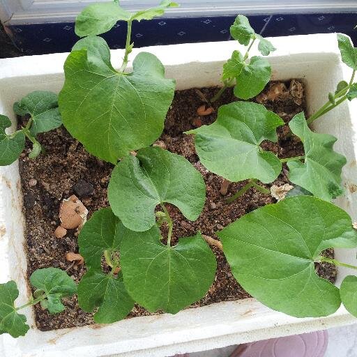 happy3365's profile picture. 