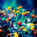 Ingrid Montero - @ingridmontero14 - Twitter