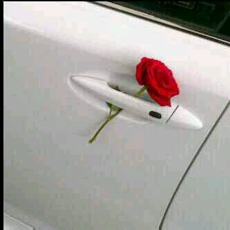 05923454's profile picture. 