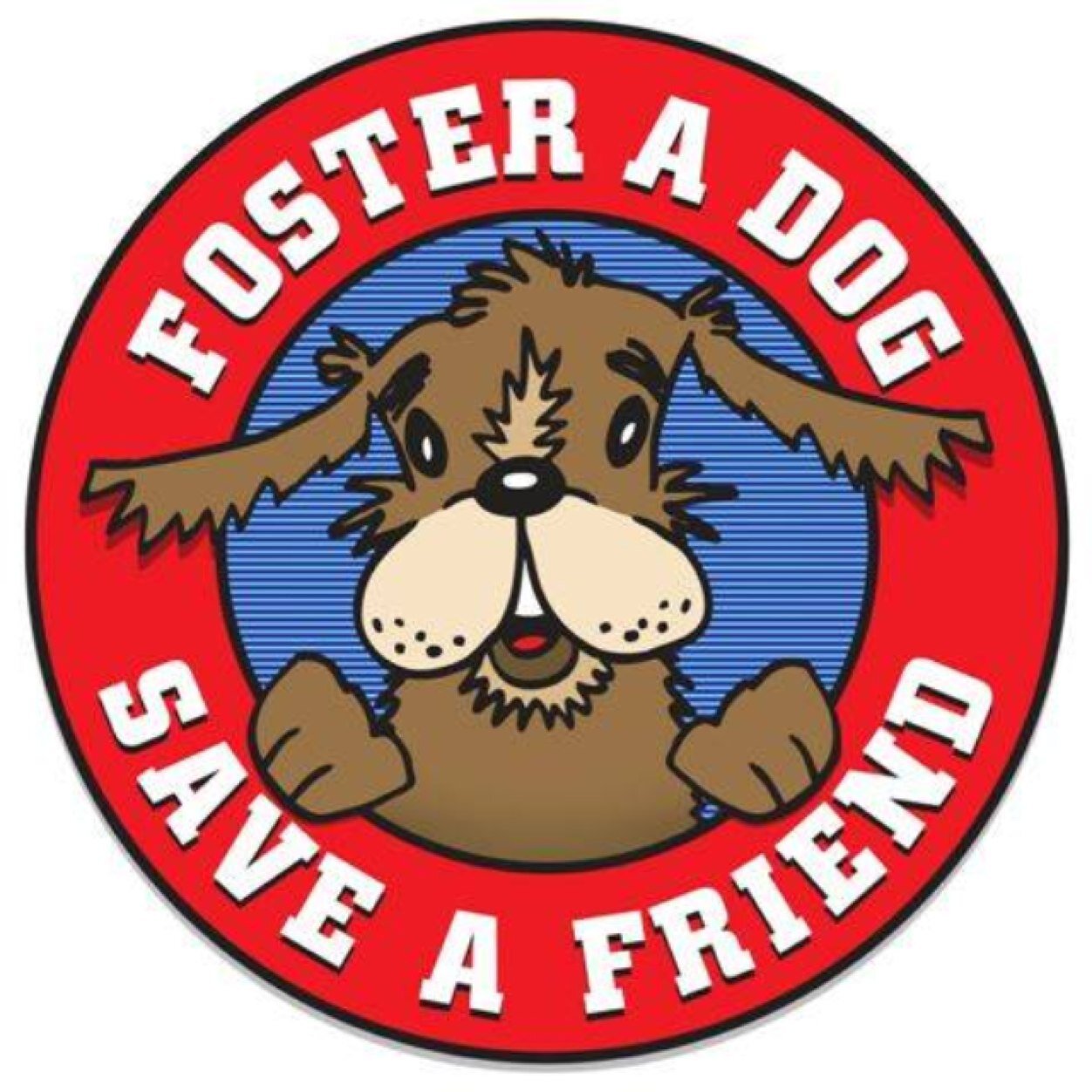 #CLT nonprofit (501c3) saving dogs from highkill shelters & finding foster homes! Facebook Foster For Dog days of charlotte Email fostercharlottepaws@yahoo.com