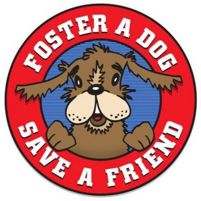 DogDaysCLT's profile image