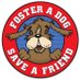 DogDaysCLT (@dogdaysclt) Twitter profile photo