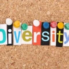 We are educators representing Scituate Public Schools -joined in the process of unpacking assumptions regarding  the larger issues around equity and diversity.