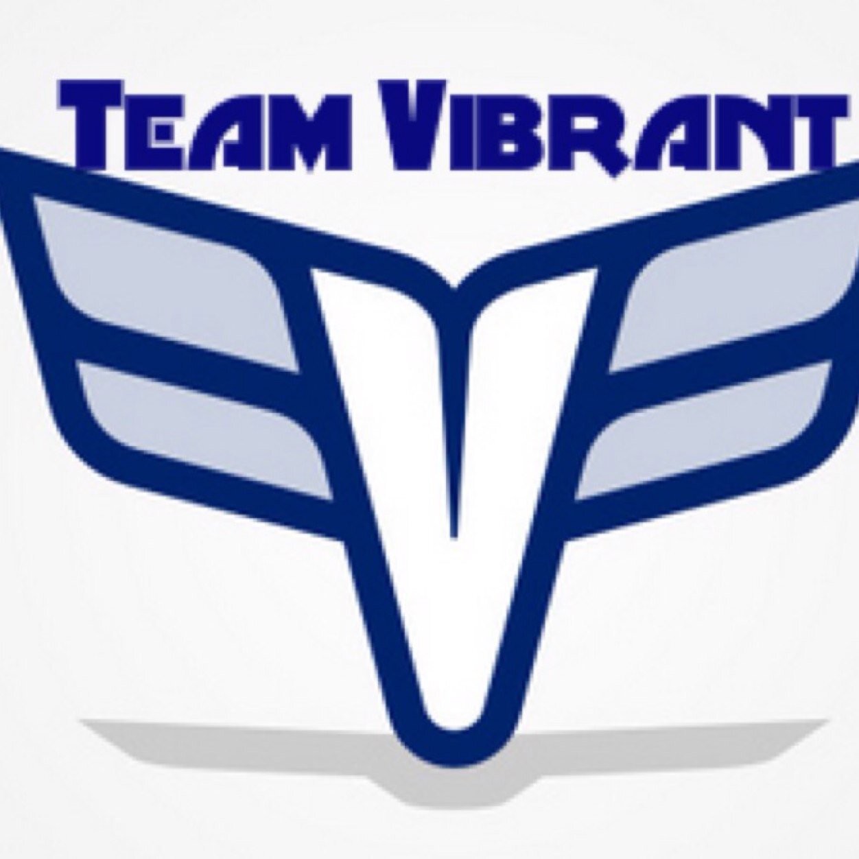 -|@FearLeSports|=|Tourney wins 1st 8x -|=|Sponsers: @Awesometourneys,@FlameGalaxy,@NoScopeGlasse @CinchGaming (Use the code Vibrant to get 5% off)