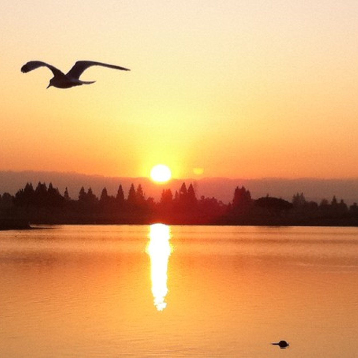 OutdoorsPorn's profile picture. Amazing scenes from the great outdoors!