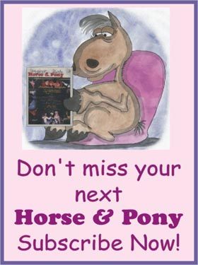 Welcome! Horse and Pony News has been serving Florida and South GA for over 40 years with the latest news in horse shows, clinics, and current horse news.
