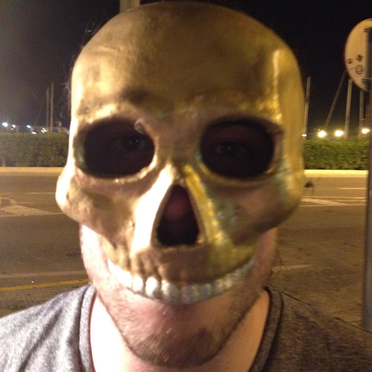 RPoles's profile picture. 