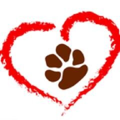 TheRescuedPup's profile picture. We are an all breed, all age, all size dog rescue, because we believe all dogs matter.