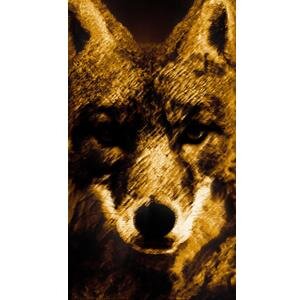 Twittererer For Tiny Coyote Productions