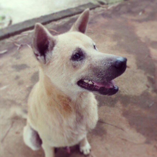 songwootmulti's profile picture. 