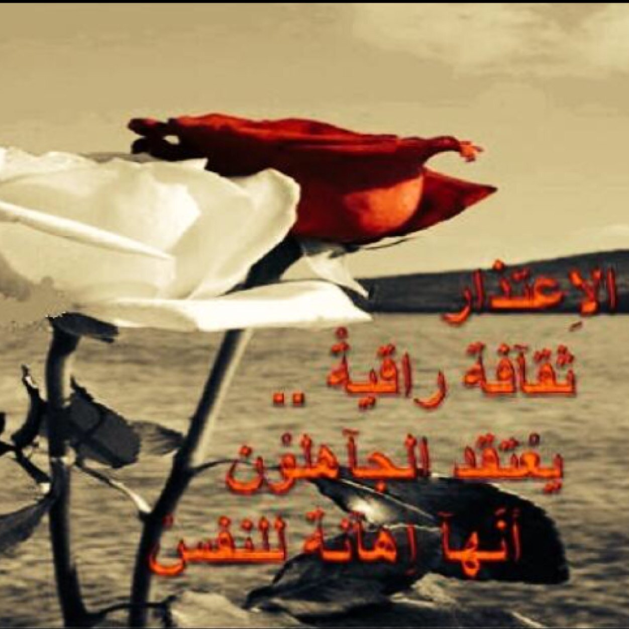 مـــالَي وُجُوْد بِدُوْن حَظّرَة جَنَابـك لـك وَحَشَه فِي خَاطِرِي مَا تِغِيـبت تُظْلَم عَلــي دِنْيَاي سَاعَة غِيَابـــــك