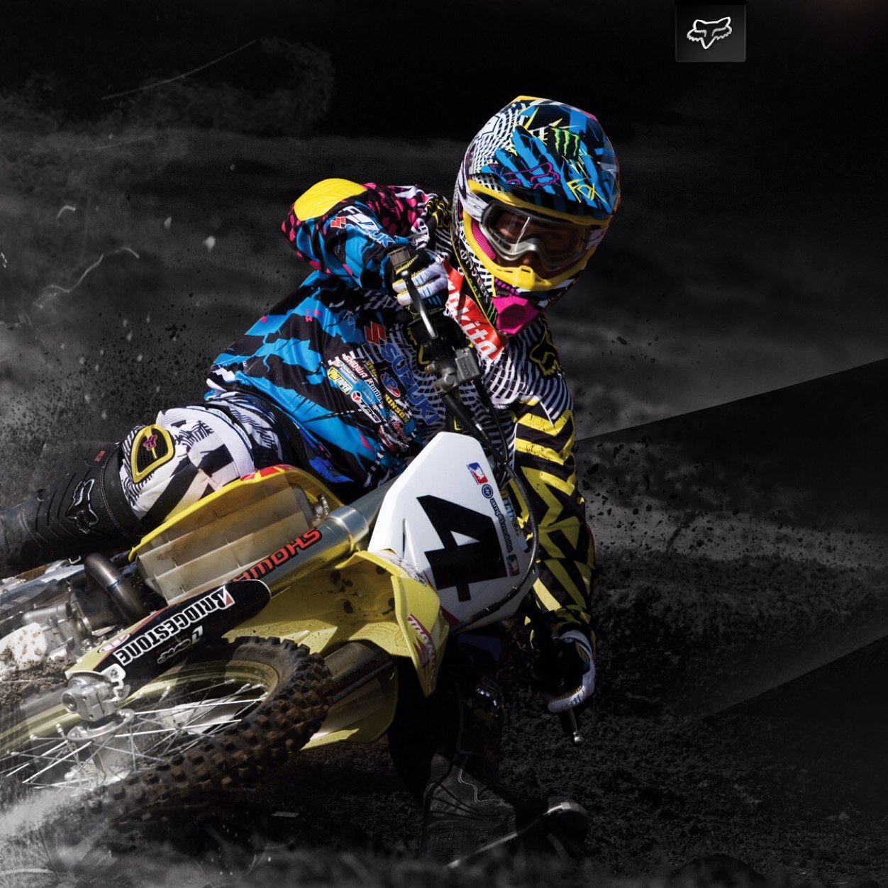Hi, i'm Daniel. I'm intrested in Supercross (dirt bike racing) and I hope to soon be a profesional Supercross Racer sometime into my future.
