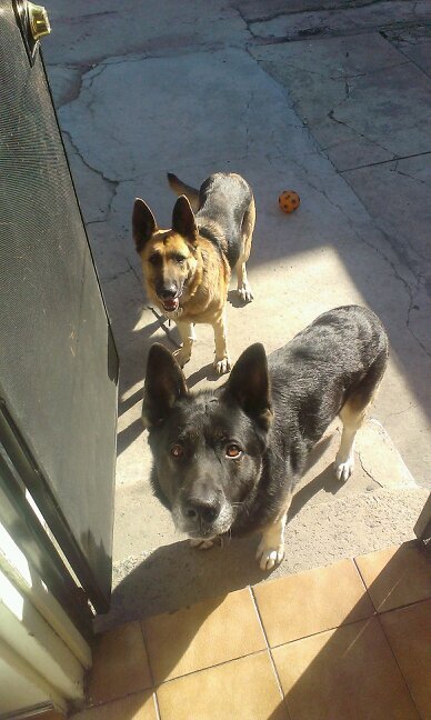 m_manuelgomez's profile picture. kill or be killed