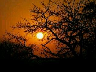 DerClement's profile picture. 