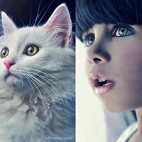 اميره الصحراء (@a977ama00) 's Twitter Profile