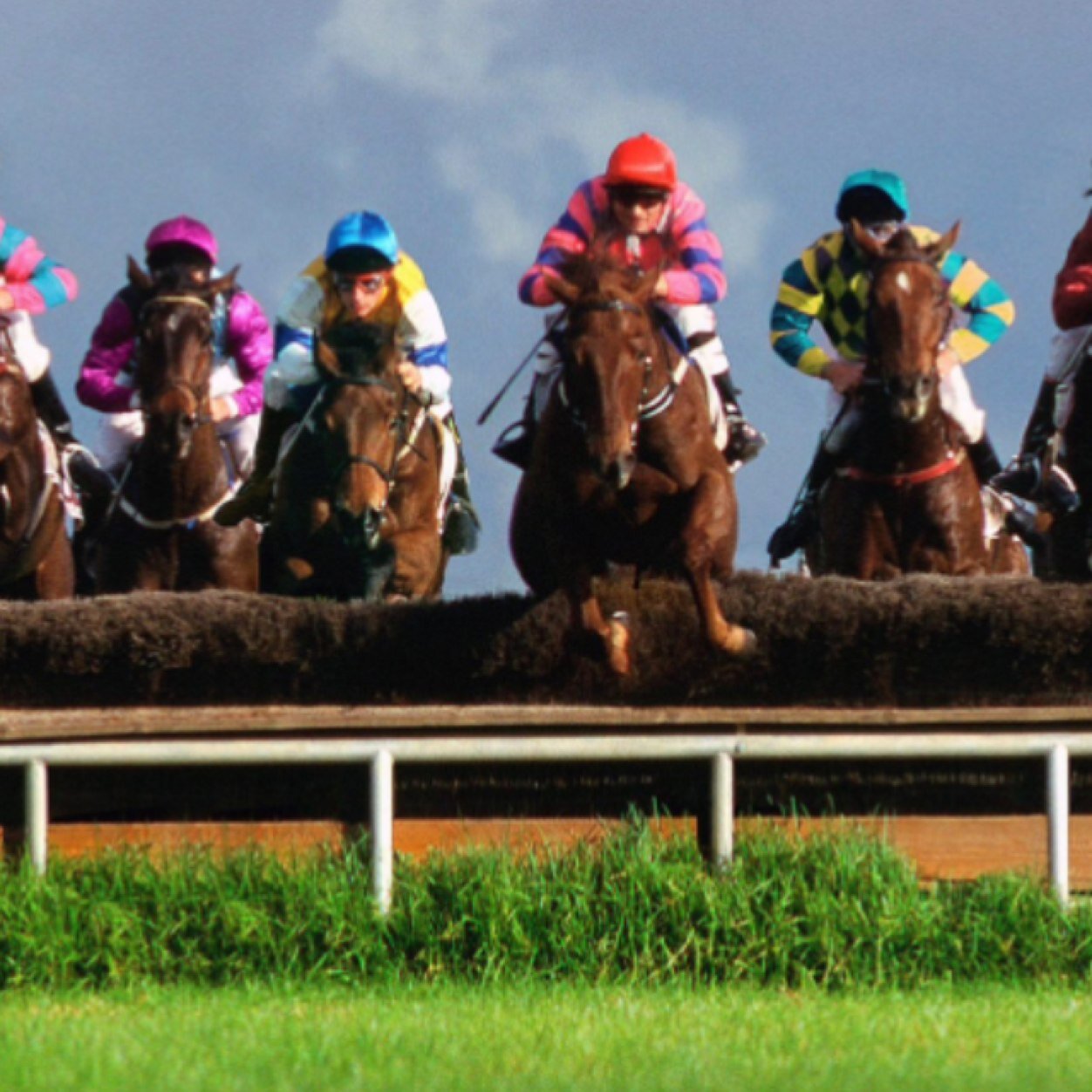 Theladzytipster's profile picture. partners with @ramp1n