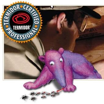 Let us be your first CHOICE for ALL your pest control needs. Our technicians are professional and knowledgeable.