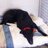Rybora_Belle's profile image