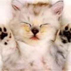 Follow me! please ,and thank you already follow me