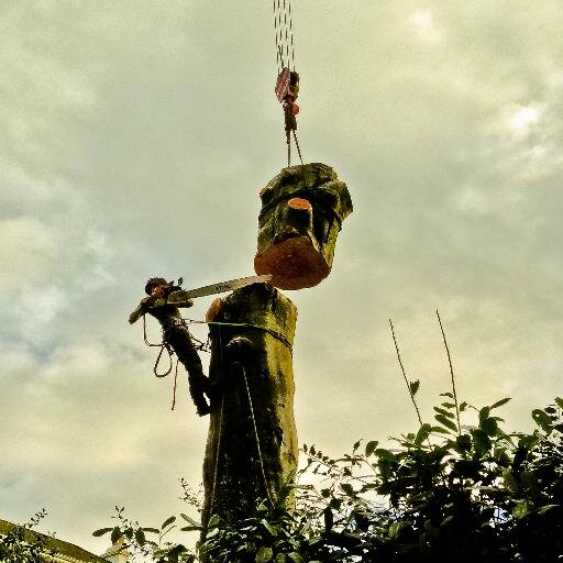 We are a long established Tree Surgeons, Consultants, Landscapers and Grounds Maintenance Contractors based in South Devon. Please see our website for more....