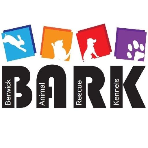 BARKKennels Profile Picture