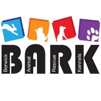 BARK Kennels (@barkkennels) 's Twitter Profile