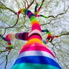 For the promotion, product development and marketing of Merino wool in South Africa. Cape Wools SA Marketing consultant.