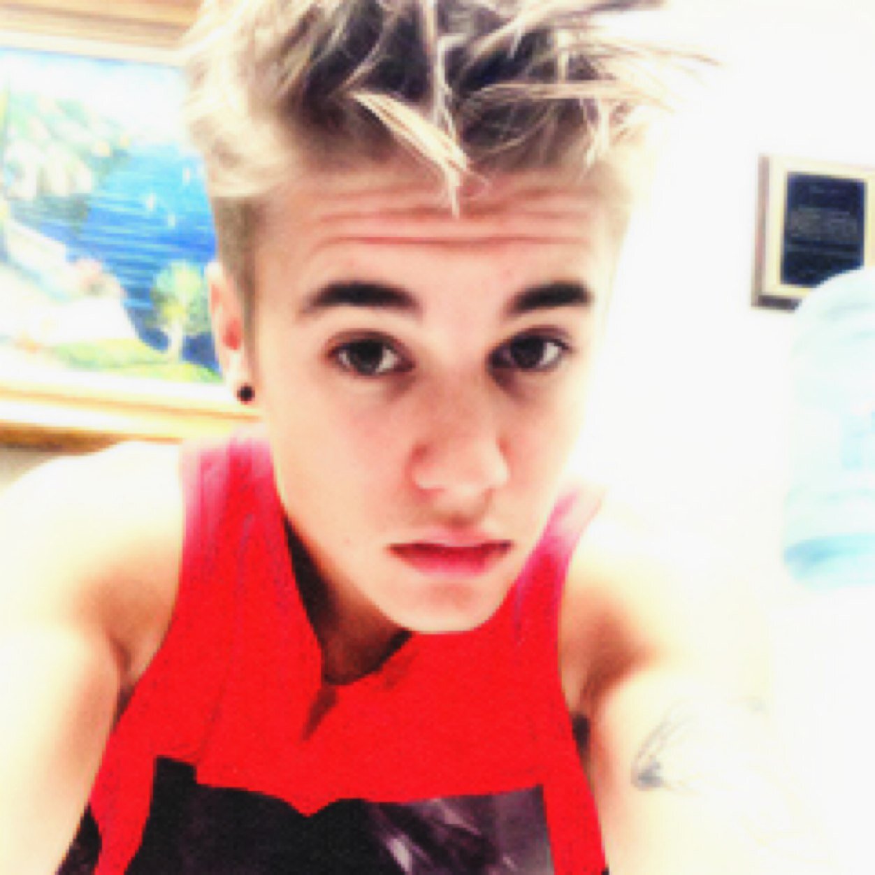 i love u @justinbieber ❤️ and also Selena, Miley, Janoskians, Cody and Ariana :) my dream is Justin's follow. being #Belieber is a lifestyle