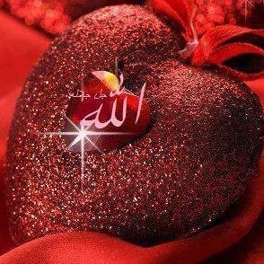 iloveislam_i's profile picture. Say,'He is God, the One, God, the self-sufficient One.He does not give birth,nor was He born, & there is nothing like Him.'(112)
(AL-QURAN)
