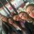 Marialoopez_1's profile image
