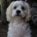 Kylie Ward - @kylie_kward - Twitter