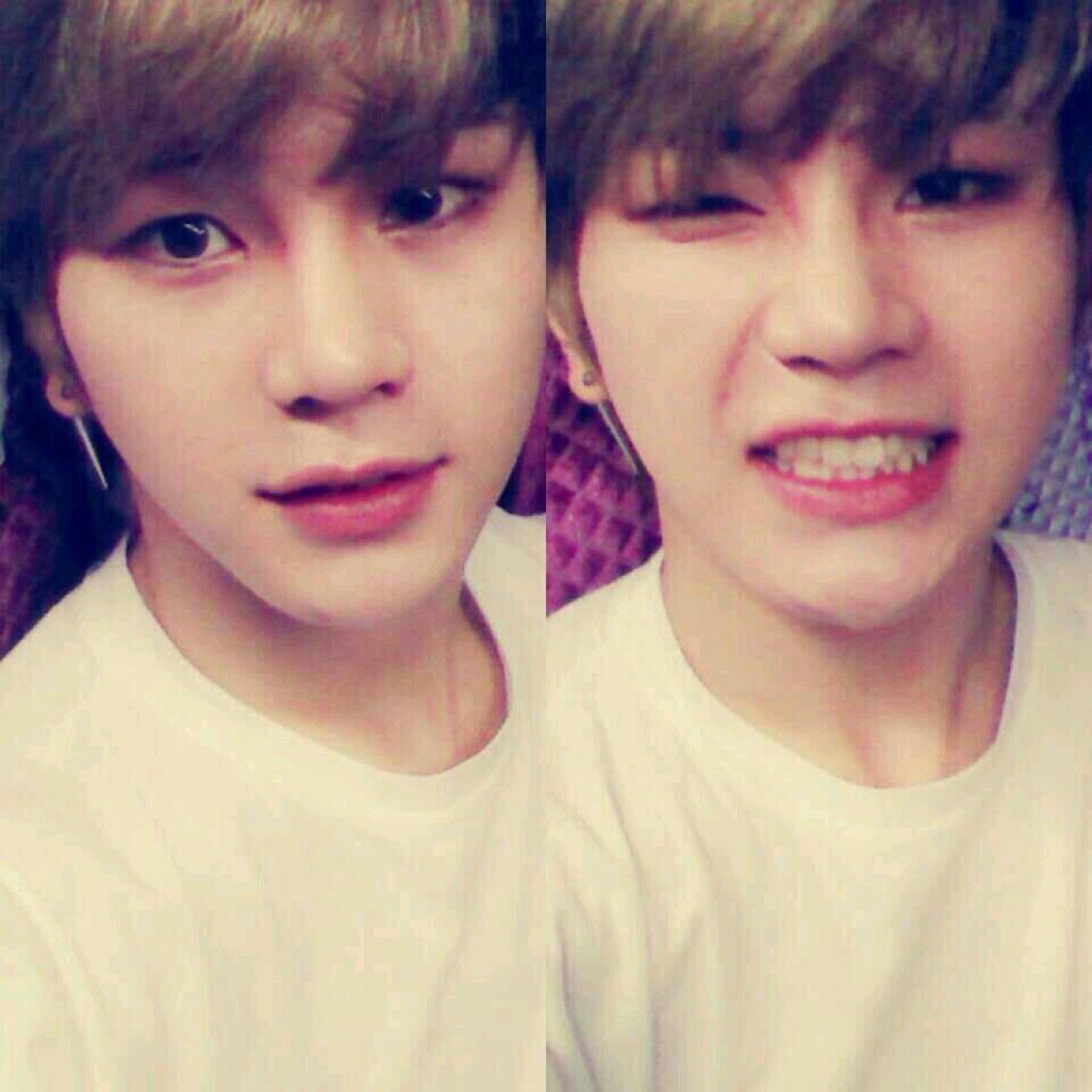 Verified Roleplayer of @FoodKingdomRP |#ParodyTS| Kim Hansol (김한솔)|June 15th, 1993|Horoscope: Gemini| |  Hiatus until 31March