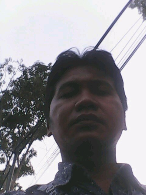 liani_adel's profile picture. 