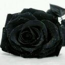 ميَ آلُبْيَشُيَ♡... (@09b2b9a55da549d) Twitter