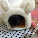 ○め。 (@0me1223) Twitter