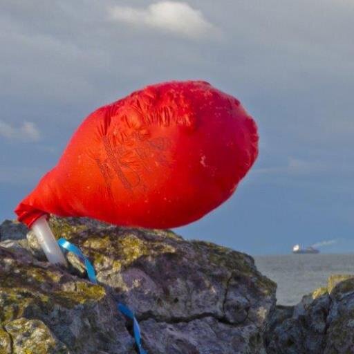 Het oplaten van ballonnen richt veel schade aan in de natuur. Help ons het oplaten van ballonnen te verminderen! @plasticsoupfoun & @denoordzee & @kustenzee